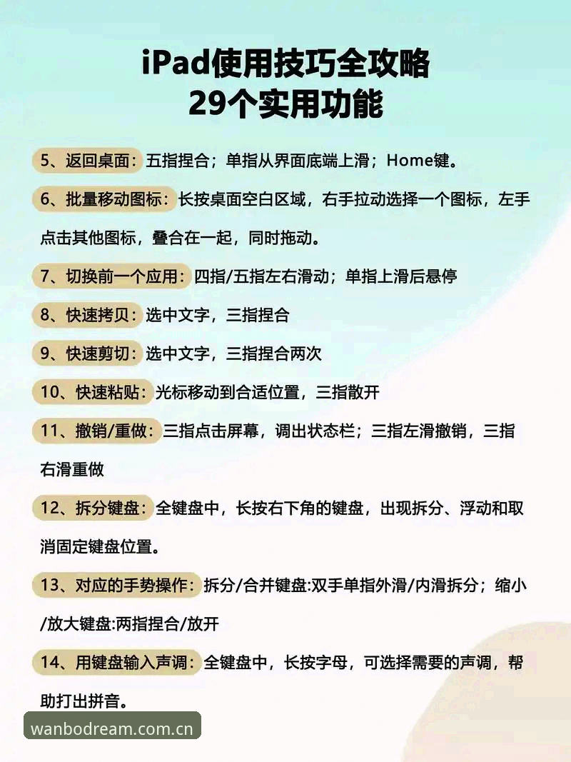 从数据接口到实战操作——资深用户分享万搏体育使用教程心得